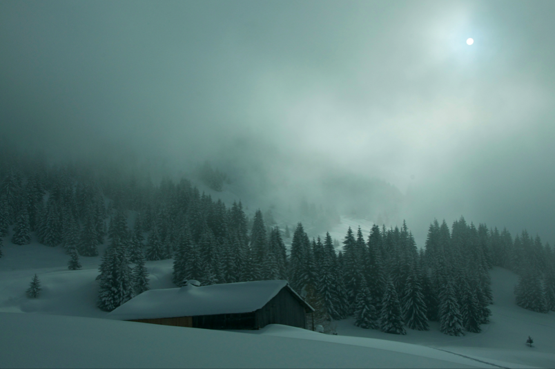 photo Bertrand Munier