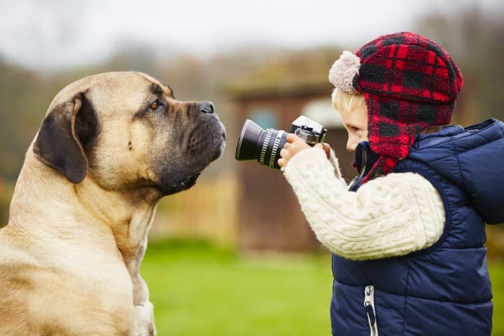 enfant prenant un chien en photo